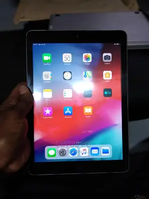 Apple iPad Air 32 GB Gray