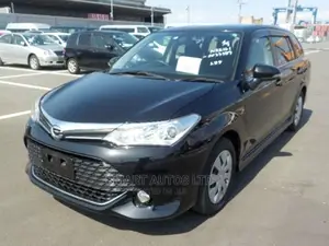 Toyota Corolla Fielder 2017 Black