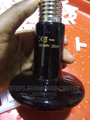 250 Watts Ceramic Heater Bulb