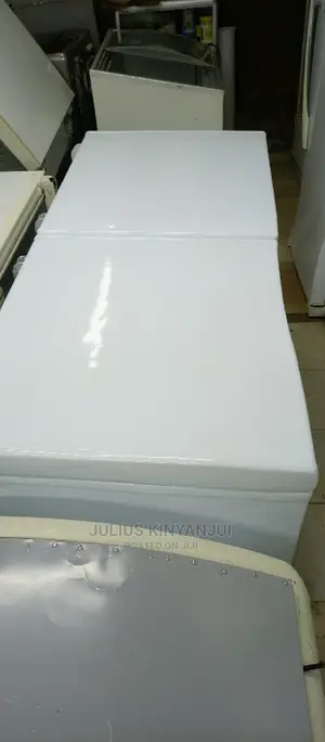 Double Door Freezer