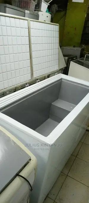 Double Door Freezer
