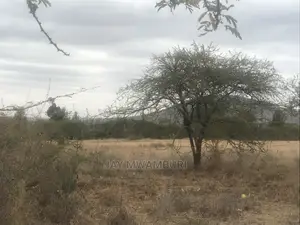 20 Acre Touching Kathome Tarmac Road Machakos