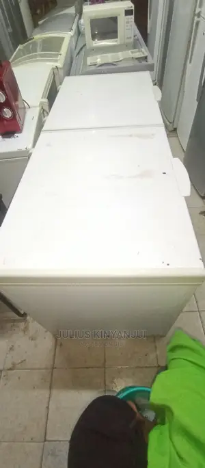 Double Door Freezer