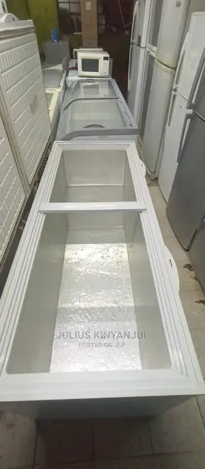 Double Door Freezer