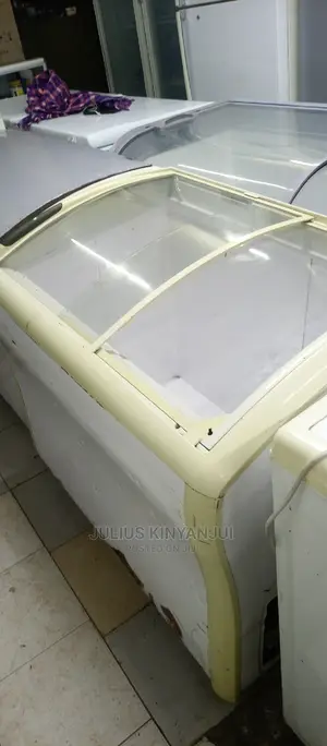 300l Deep Freezer