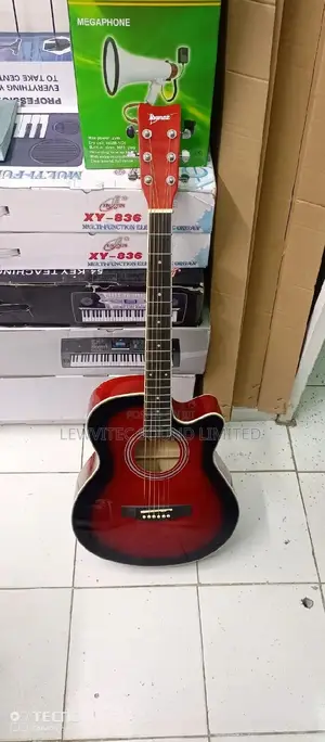 Ibanezz Red Wine Guitar