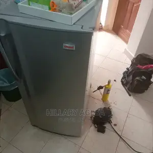 Fridge Repair Services
