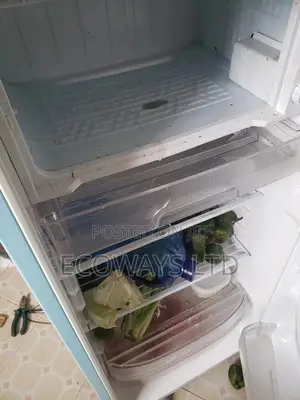 Fridge, Evaporator Repair