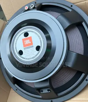 Jbl15inch 2226H Naked Speaker
