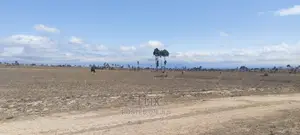 7 Acres Narumoru