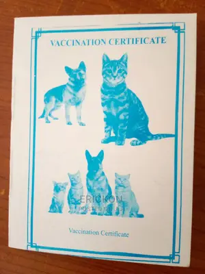 Dog Veterinary Services
