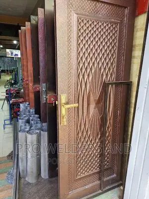 Powder Coated Flushdoors