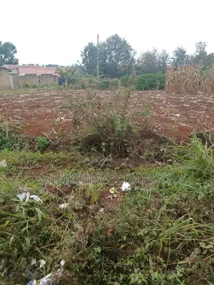 Commercial Plot on Sale at Kenol