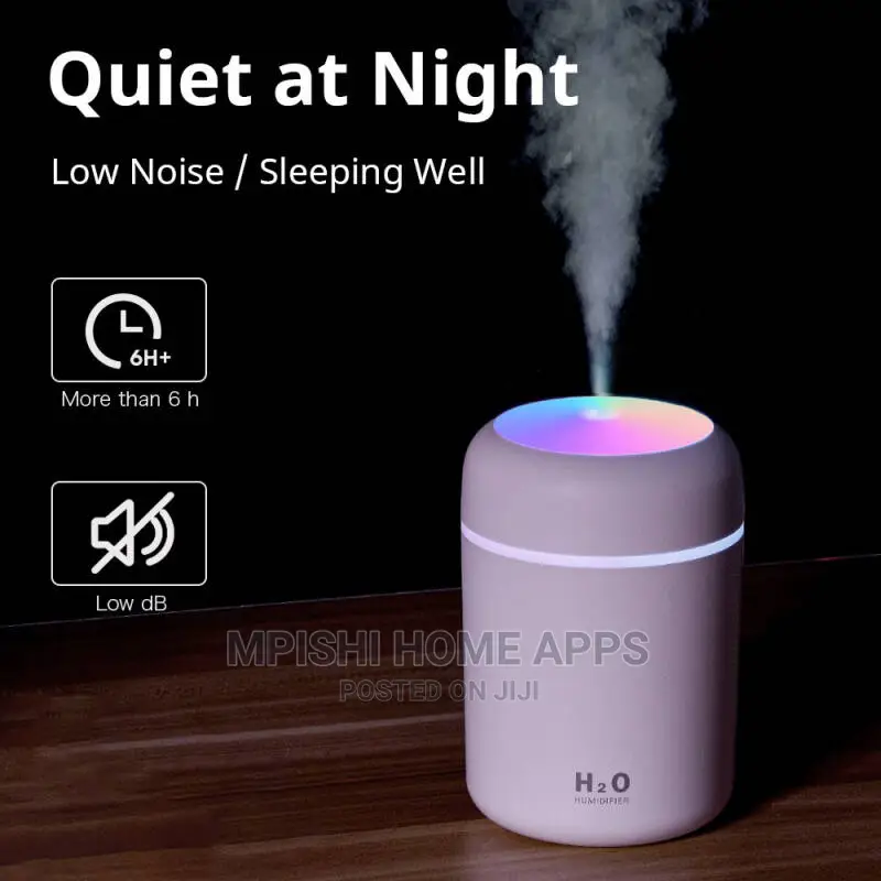 Portable Humidifier 300ml