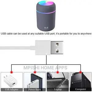 Portable Humidifier 300ml