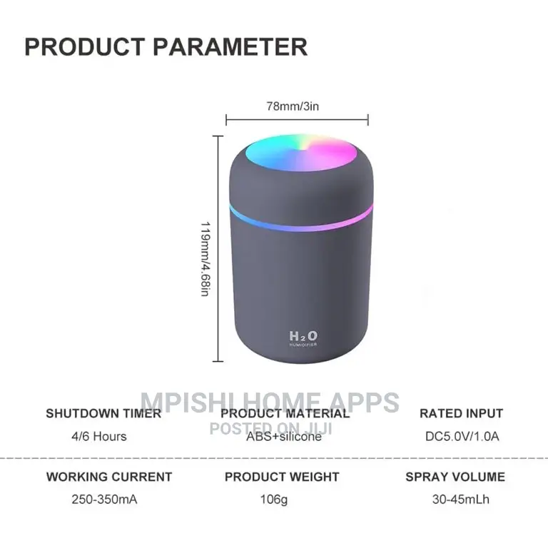 Portable Humidifier 300ml