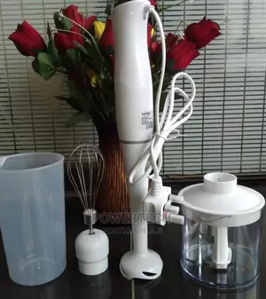 4 in 1 Signature Handblender