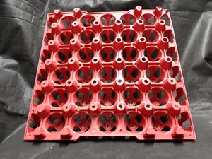 Maroon Trays