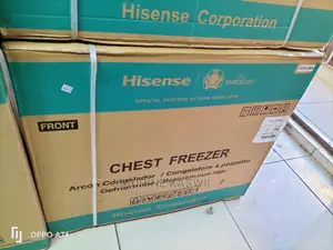 320 L Hisense Freezer