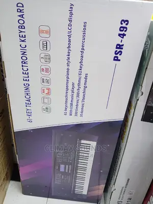 PSR -493 , Electronic Keyboard