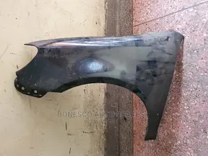 Volkswagen Golf Mk6 Left Fender (Variant)