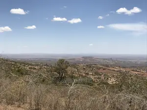 20 Acres Mua Hill