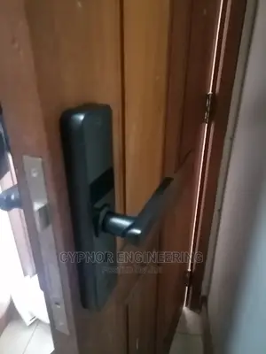 Homes Wifi,Cards And Passwords Smart Lock