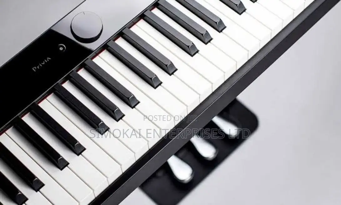 Casio PX S1000 Digital Piano