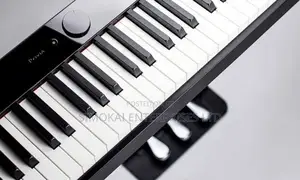 Casio PX S1000 Digital Piano