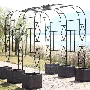 Elegant Steel Arch Flower Frame Design Garden