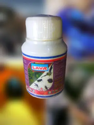 Dichlorvos Lava Bedbug Insecticide