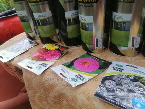 500grams Seeds for Bermuda Grass