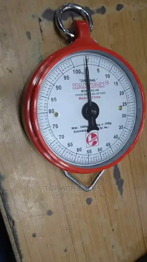 100kg Hanson Scale