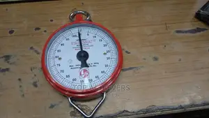 Analogue Hanging Scale