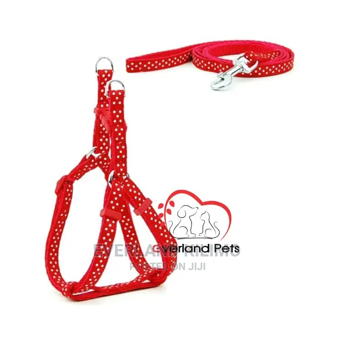 Puppy Leash