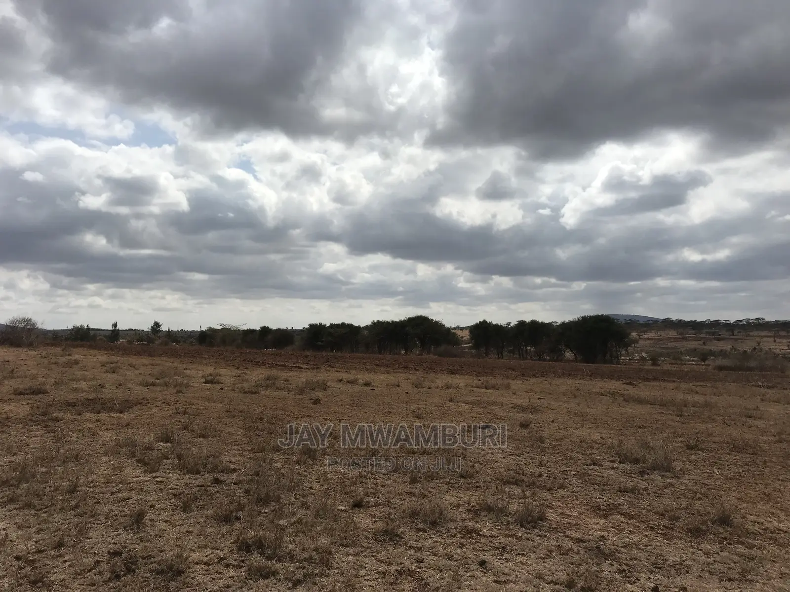 10 Acre Konza