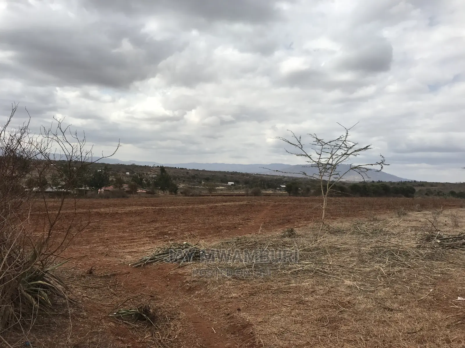 10 Acre Konza