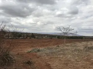 10 Acre Konza
