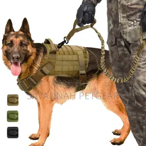 Tactical Military Training Bungee Elastic Dog Leash 96CM