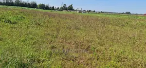 Prime Plots on Sale in Marura Kimumu Near Highway in Eldoret