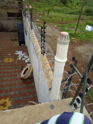 Double Galvanised 450mm Razor Wire Both Silver And Green