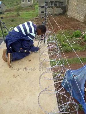 Double Galvanised 450mm Razor Wire Both Silver And Green