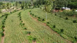 Farmland Available for Sale in Shimbahills.