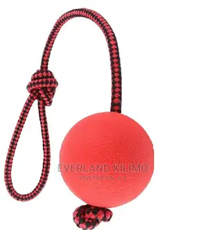 Dog Toy Ball With a Rope