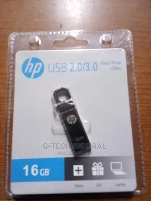HP 16GB Flash Disk Drive - Silver