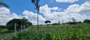 1.8 Acre Land on Sale Mtwapa Animo Area