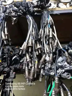 Oxygen Sensor