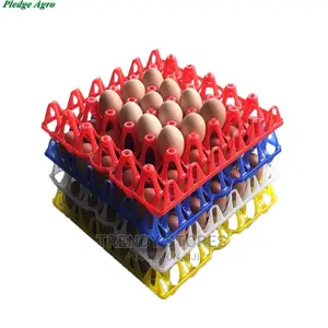 Ventilated Plastic Egg Tray