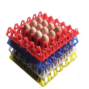 Ventilated Plastic Egg Tray