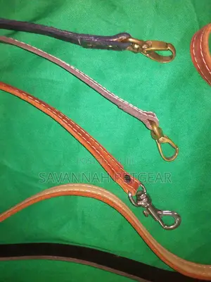 Genuine Leather Quality Dog Leashes